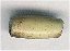 Pipe Bead - click here for large view