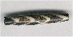 Pipe Bead - click here for large view