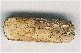 Pipe Bead - click here for large view