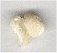 Bone Bead - click here for large view