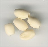 Bone Beads - click here for large view