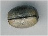 Oval Bead - click here for large view