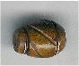 Oval Bead - click here for large view