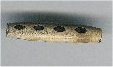 Pipe Bead - click here for large view