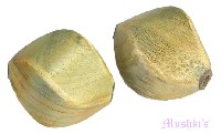 Horn Beads - click here for large view