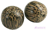 Indian wood bead - click here for large view