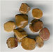 Camel  Half Round Agate Cabachon - click here for large view