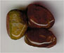Camel Oval Agate Cabachon - click here for large view