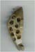 Soft Stone Marble Pendants - click here for large view