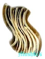 Mop Pendants - click here for large view