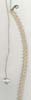Single Row Seed Beaded Belt - click here for large view