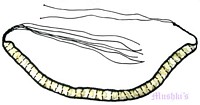 Fashion Belt - click here for large view