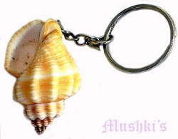 Key ring - click here for large view
